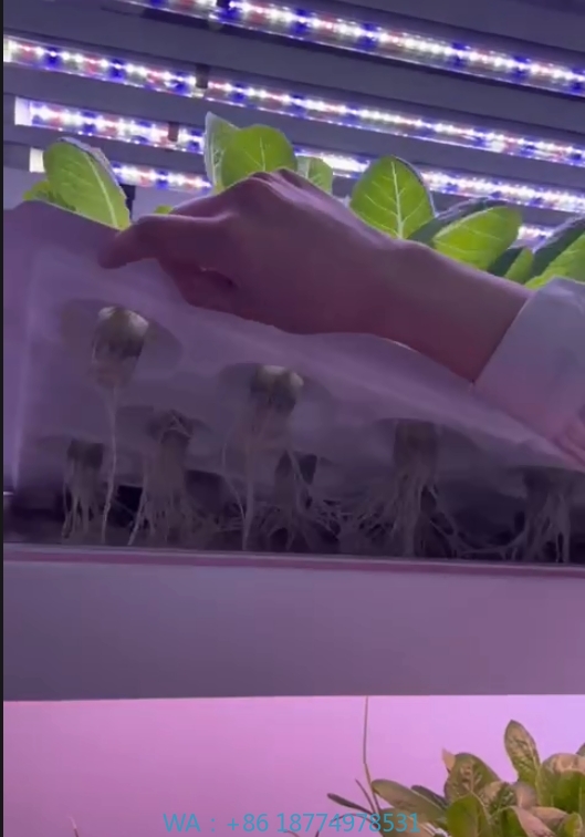 อุปกรณ์การเกษตรในโรงเรือนเพาะเ - Agriculture Farming Equipments บทวิจารณ์และราคา