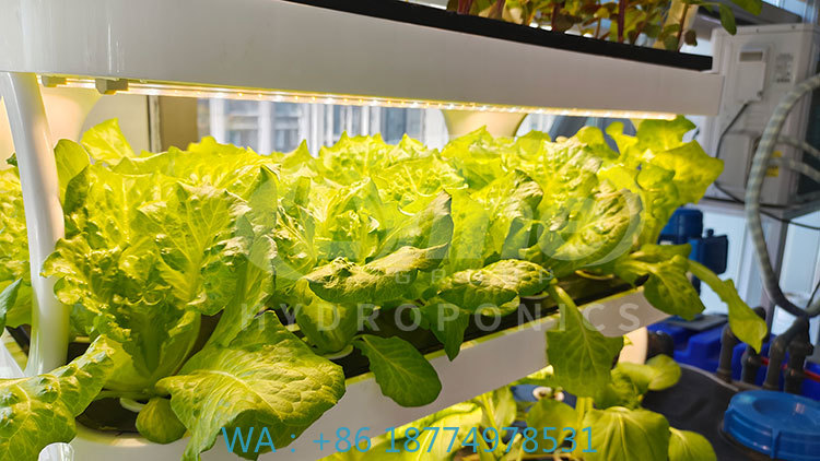 เครื่องจักรการเกษตรสำหรับปลูกผ - Agriculture Farming Equipments บทวิจารณ์และราคา